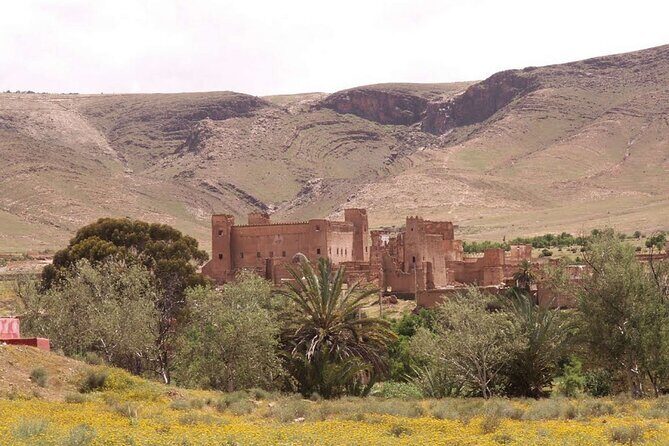 2 Days Zagora Desert Eperience from Marrakech - Who Should Consider This Tour?