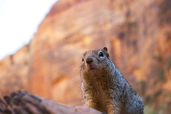 2 Days Zion and Bruce Canyon Tour with Hiking - Key Points