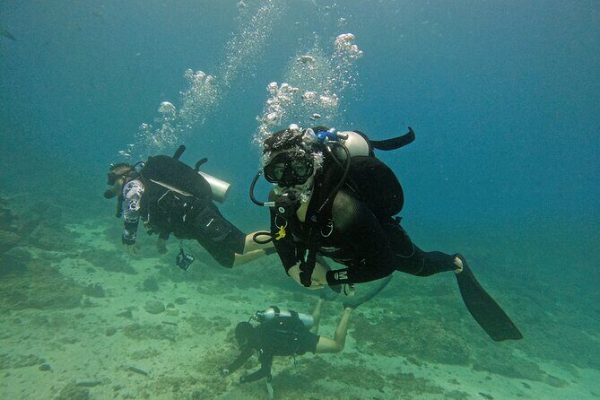 2 Dives for certified divers in Fujairah with BBQ lunch - Key Points