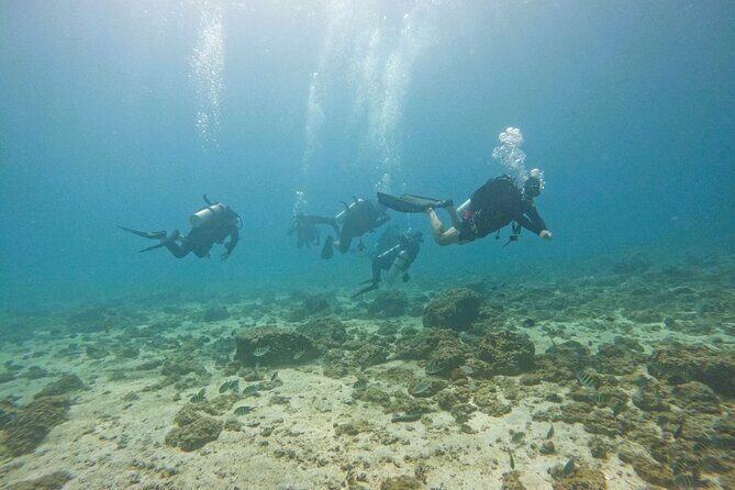 2 Dives for certified divers in Fujairah with BBQ lunch - Why Fujairah Offers Something Special for Divers