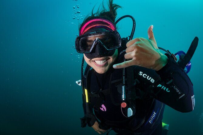 2 Dives in the Cabo Marine Park - Final Thoughts