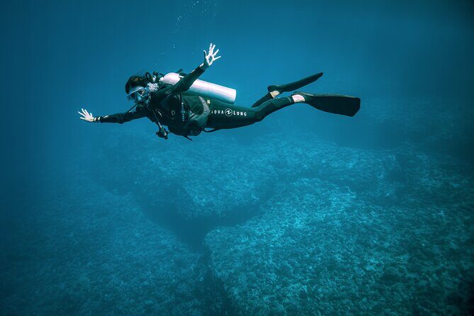 2 Dives in the morning for certified divers in Bora Bora - The Value of Small Group Tours