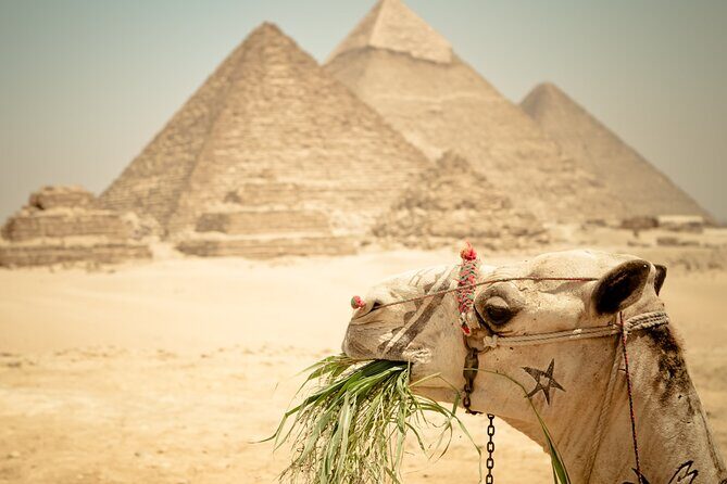 2 Full days tours in Cairo explore best of Cairo - FAQs