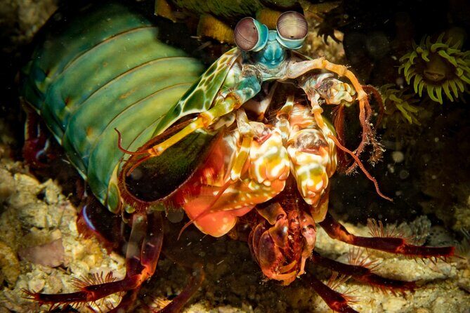 2 Fun Divers for Certified Divers in Thailand - Setting the Scene: What’s on Offer?