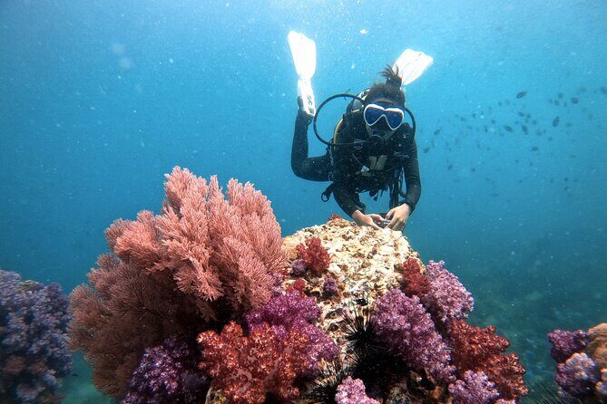 2 Fun Divers for Certified Divers in Thailand - The Itinerary: What Makes It Special?