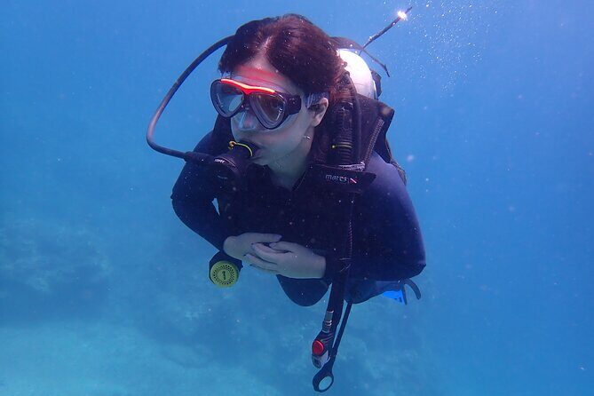 2 Fun Dives for certified Divers - Authentic Experiences and What Travelers Say