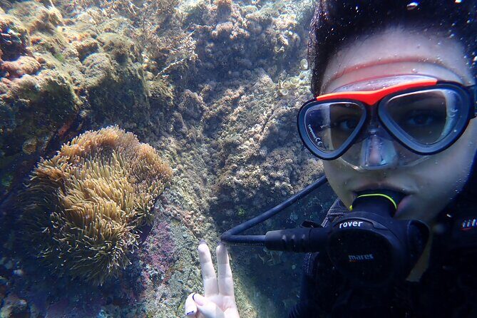 2 Fun Dives for certified Divers - Who Should Consider This Tour?