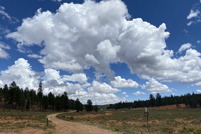 2-Hour, 4-seat ATV Rental next to Bryce National Park - FAQs