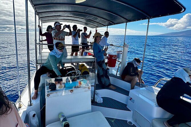 2 Hour Afternoon Lahaina Whale Watch - Who Would Love This Tour?