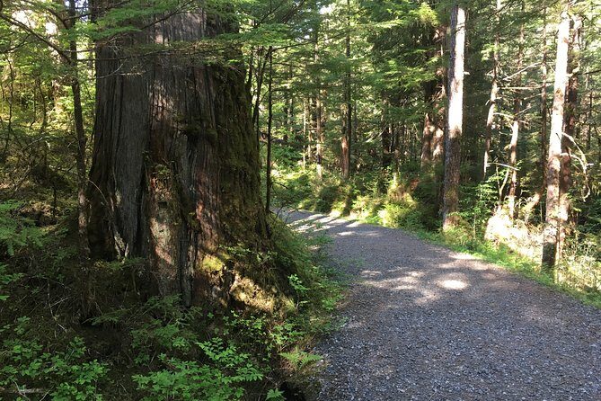 2 Hour Alaska Rainforest Walk and Totem Park Small Group Tour - The Sum Up