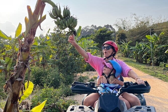2 Hour ATV Jungle Tour In Koh Samui - A Guide to the 2 Hour ATV Jungle Tour in Koh Samui