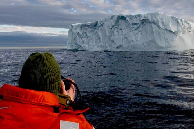2 Hour Award-Winning Whale and Seabird Boat Tour from St. John's - Practical Details: What You Need to Know