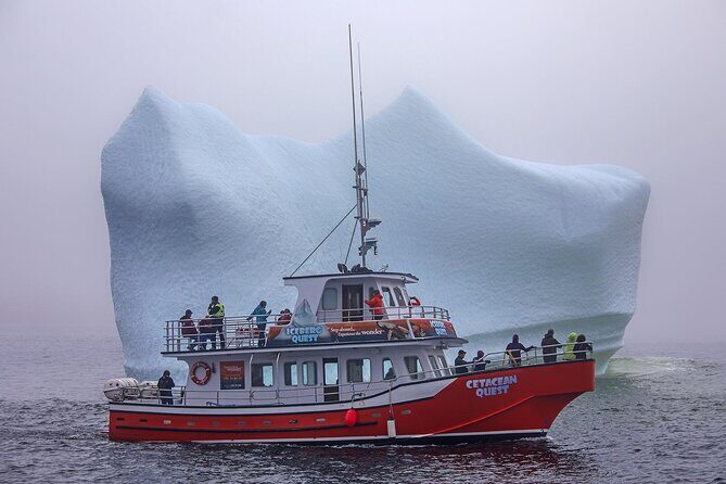 2 Hour Boat Tour in Twillingate - An In-Depth Look at the Tour