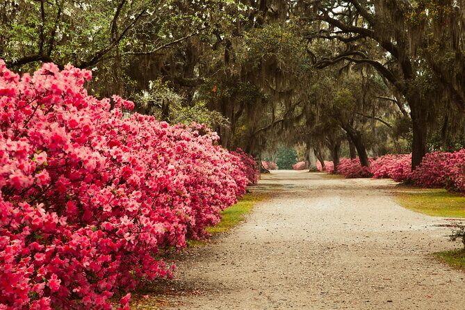 2-Hour Bonaventure Cemetery Walking Tour - FAQ