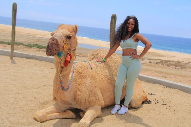 2-Hour Camel Ride Beach and Desert Adventure Experience - Overview of the Experience