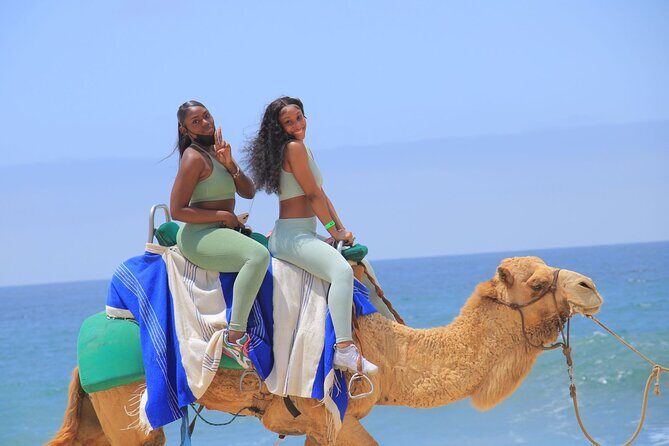2-Hour Camel Ride Beach and Desert Adventure Experience - Cost, Value, and Additional Charges