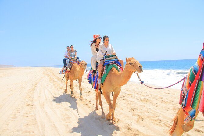 2-Hour Camel Ride Beach and Desert Adventure Experience - Final Thoughts