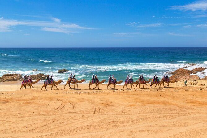 2-Hour Camel Ride Beach and Desert Adventure Experience - FAQ