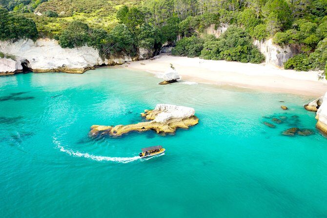 2 Hour Cathedral Cove and Volcanic Coast Cruise with Shade Canopy - Final Thoughts