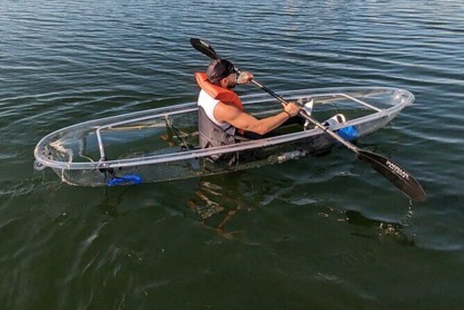 2-Hour Clear Kayak & Clear Paddleboard(SUP) Rental in Orlando - A Comprehensive Look at the Experience