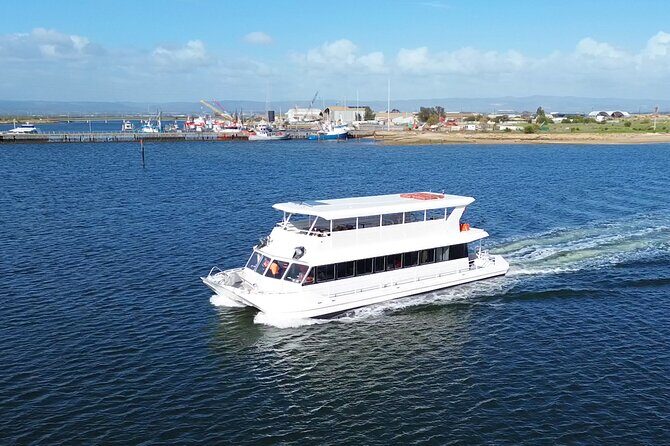 2-Hour Dolphin and Maritime Cruise in Port Adelaide - Key Points