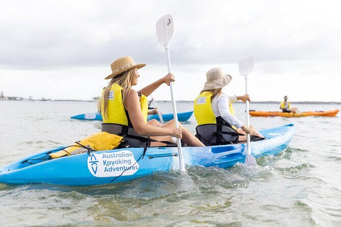 2-Hour Dolphin Kayak & Snorkel Tour on the Broadwater - The Experience: Real Travelers’ Perspectives