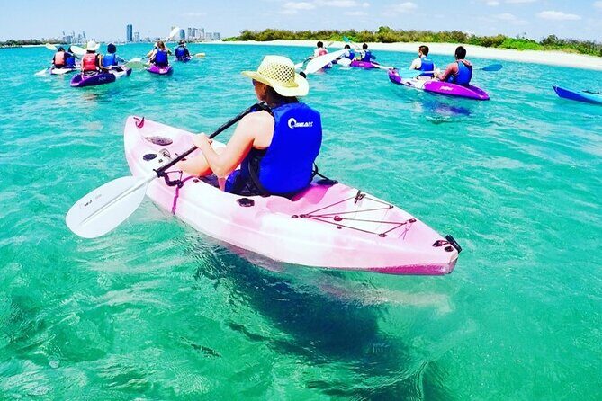 2-Hour Dolphin Kayak & Snorkel Tour on the Broadwater - Analyzing the Value and Practical Aspects