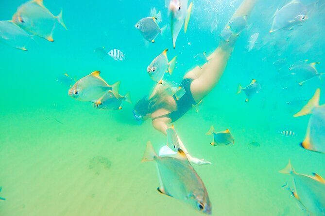 2-Hour Dolphin Kayak & Snorkel Tour on the Broadwater - Who Should Consider This Tour?