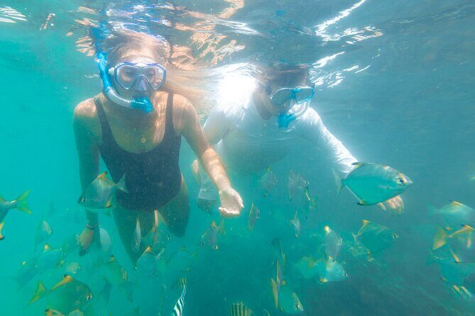 2-Hour Dolphin Kayak & Snorkel Tour on the Broadwater - Final Thoughts: Is It Worth It?