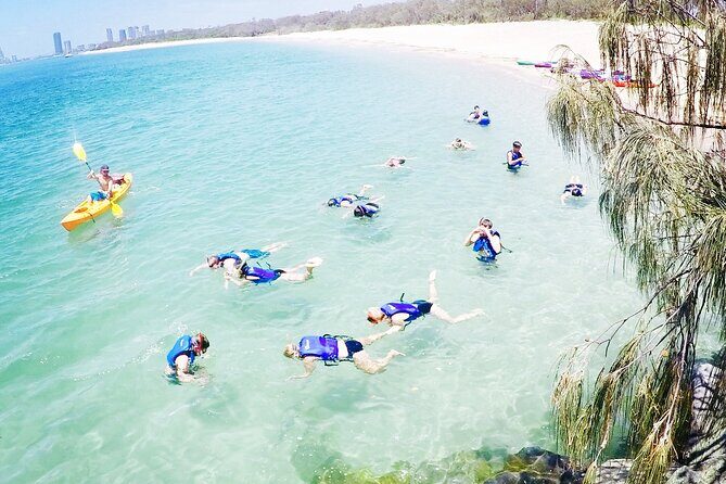 2-Hour Dolphin Kayak & Snorkel Tour on the Broadwater - FAQs About the Tour