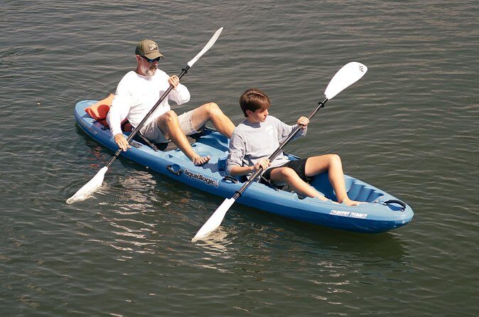 2 Hour Double Kayak Rental - Comparing this Experience with Other Options