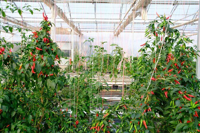 2-Hour Farm Experience in Gateway Yarra Valley - Detailed Tour Breakdown