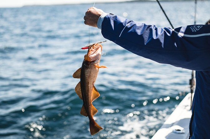 2 Hour Fishing Experience in Halifax - The Value of a Halifax Fishing Tour
