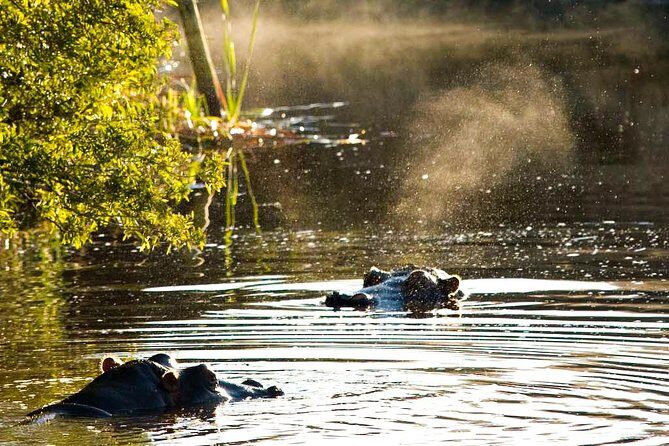 2-Hour Game Drive at the Plettenberg Bay Game Reserve - Facilities and Comfort
