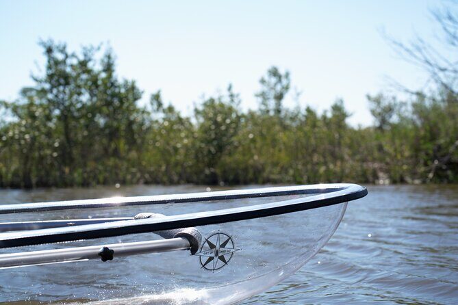 2-Hour Glass Bottom Guided Eco Tour in Flagler County-Small-group - What to Expect: The Itinerary and Experience