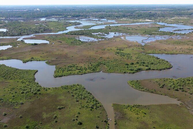 2-Hour Glass Bottom Guided Eco Tour in Flagler County-Small-group - Who Will Love This Tour?