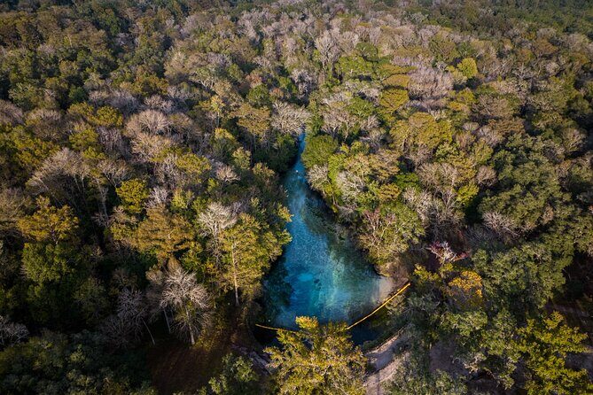 2 Hour Glass Bottom Guided Kayak Eco Tour in Gilchrist Blue - The Gear and Comforts