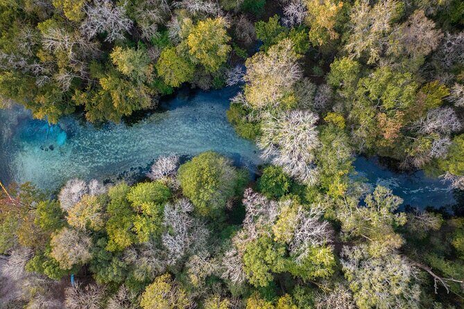 2 Hour Glass Bottom Guided Kayak Eco Tour in Gilchrist Blue - Why Choose This Tour?