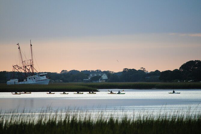 2-Hour Guided Kayak Eco Tour in Charleston - The Experience: What You Can Expect