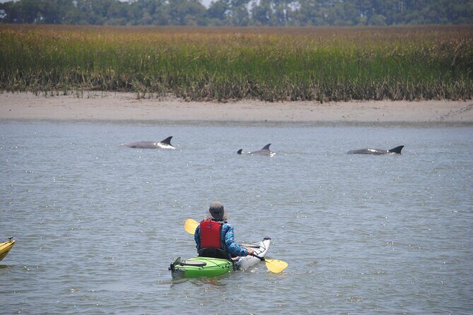 2-Hour Guided Kayak Eco Tour in Charleston - The Cost and Value
