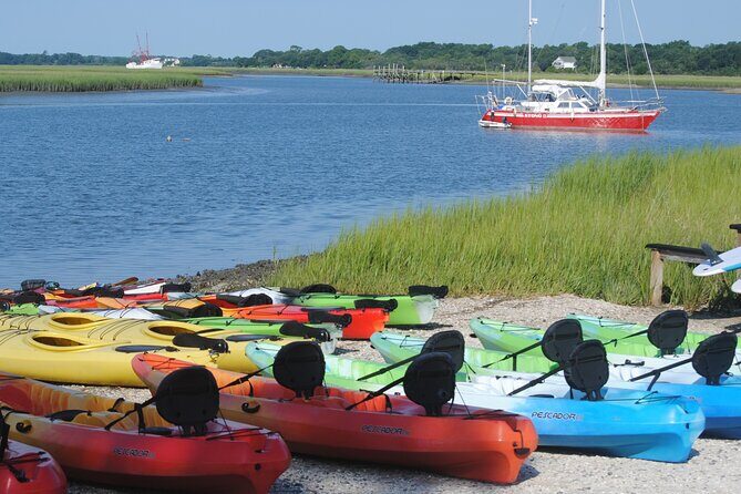 2-Hour Guided Kayak Eco Tour in Charleston - Who Should Book This?