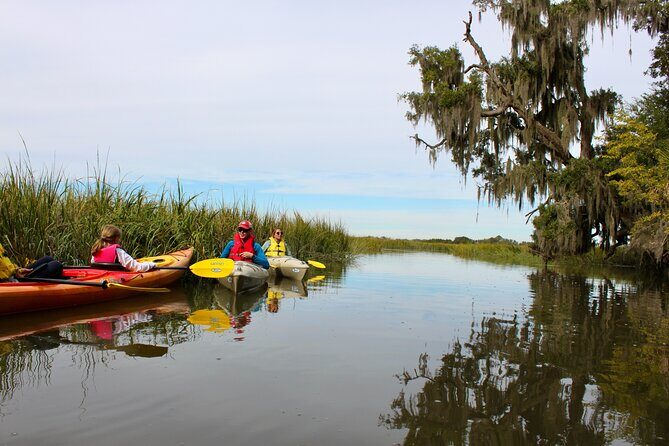 2 Hour Guided Kayak Tour at Palmetto Bluff - Who Will Love This Tour?