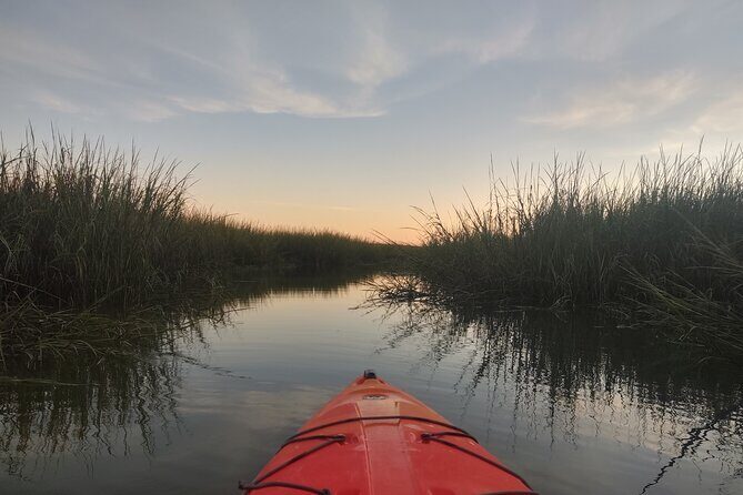 2 Hour Guided Kayak Tour at Palmetto Bluff - FAQs