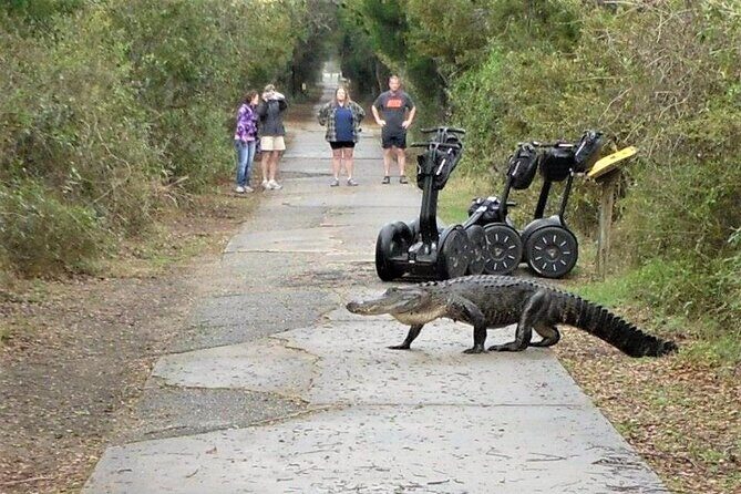 2-Hour Guided Segway Tour of Huntington Beach State Park in Myrtle Beach - Practical Details and Tips