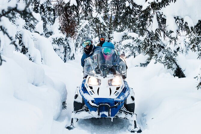 2-Hour Guided Snowmobile Tour in Fairbanks - The Experience and Atmosphere