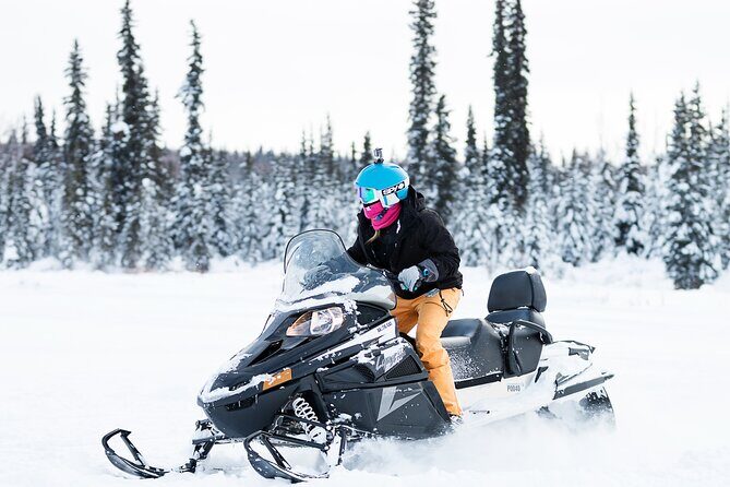 2-Hour Guided Snowmobile Tour in Fairbanks - Cancellations and Weather Considerations