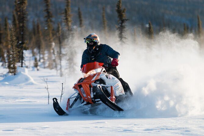 2-Hour Guided Snowmobile Tour in Fairbanks - Who Will Enjoy This Tour?