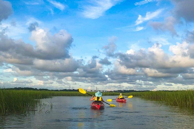 2-Hour Hilton Head Guided Kayak Nature Tour - What to Expect from the Hilton Head Kayak Tour