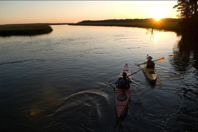 2-Hour Hilton Head Guided Kayak Nature Tour - Authenticity and Group Size