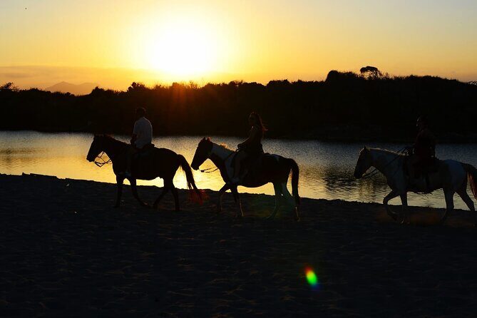 2-Hour Horseback Riding Tour at Sunset from Punta Cana - Introduction